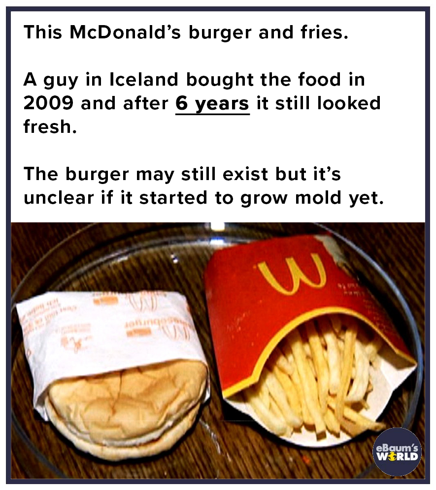 iceland mcdonalds burger - This McDonald's burger and fries. A guy in Iceland bought the food in 2009 and after 6 years it still looked fresh. The burger may still exist but it's unclear if it started to grow mold yet. w eBaum's Wrld