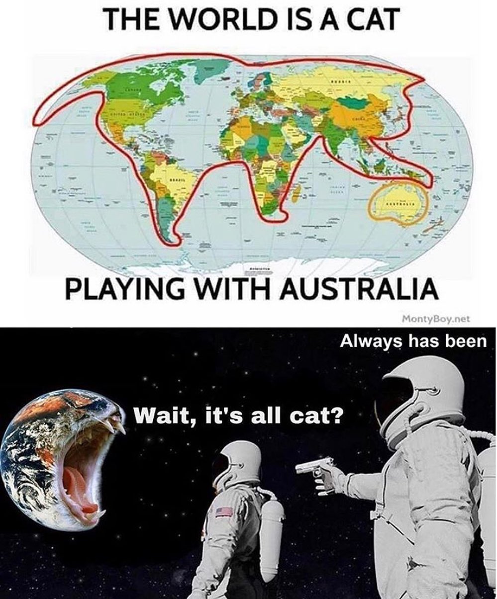 world cat playing with australia - The World Is A Cat Dinis 8 Playing With Australia MontyBoy.net Always has been Wait, it's all cat?