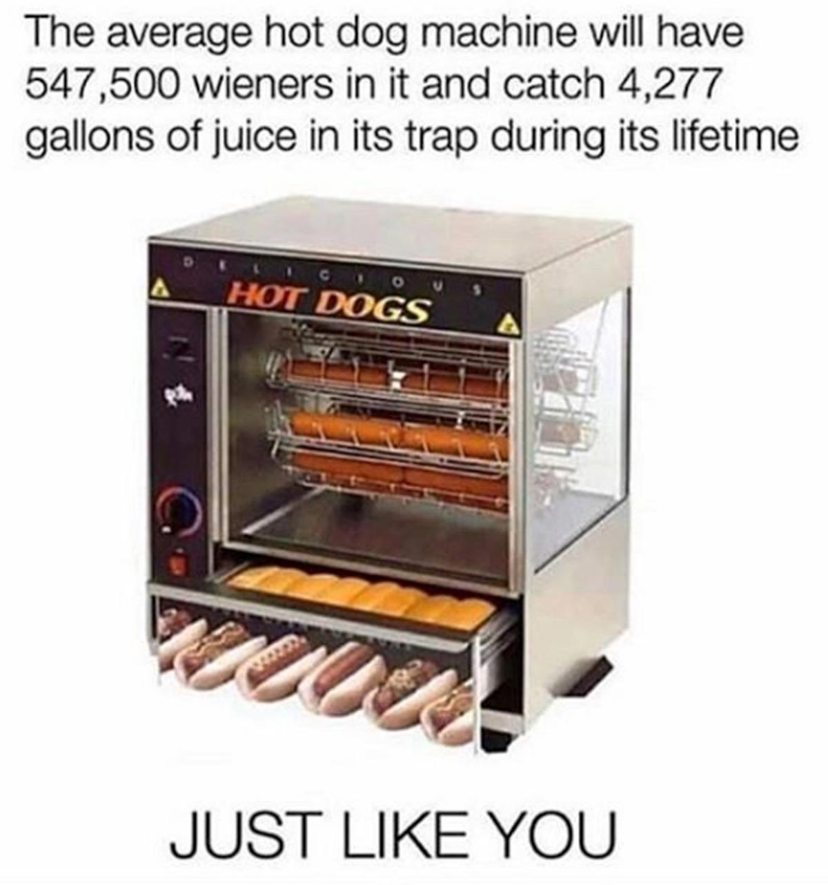 funny sex memes - rotisserie hot dog machine - The average hot dog machine will have 547,500 wieners in it and catch 4,277 gallons of juice in its trap during its lifetime Hot Dogs Just You