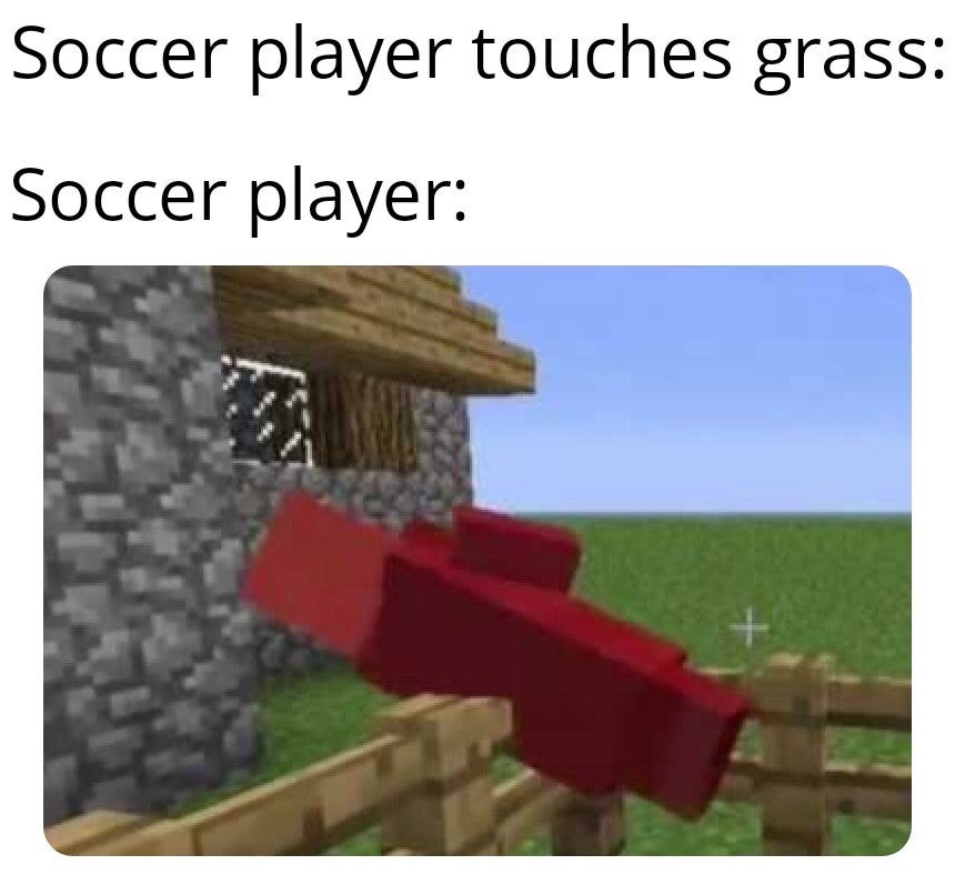 biome - Soccer player touches grass Soccer player