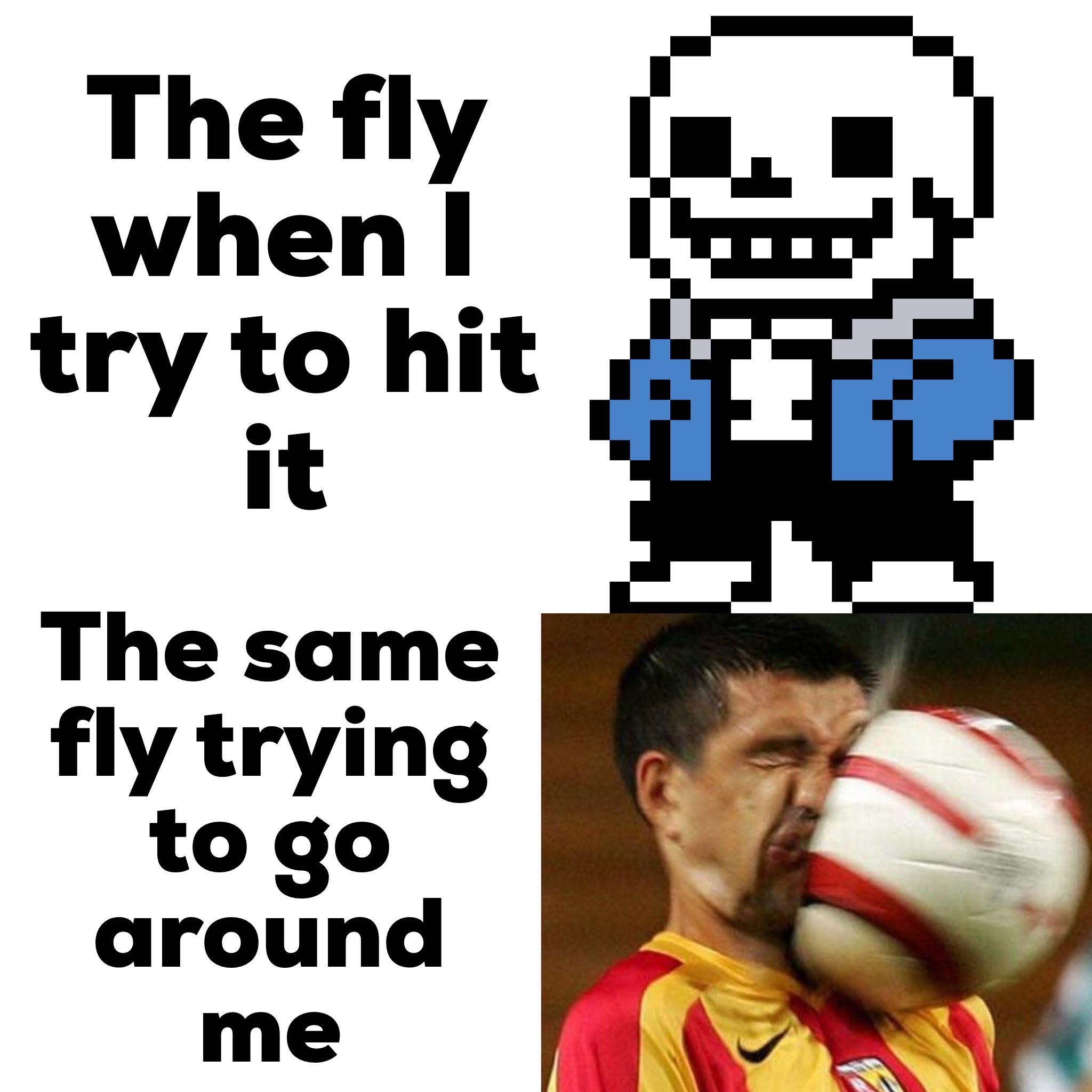 dank memes funny soccer - The fly when try to hit it The same fly trying to go around me