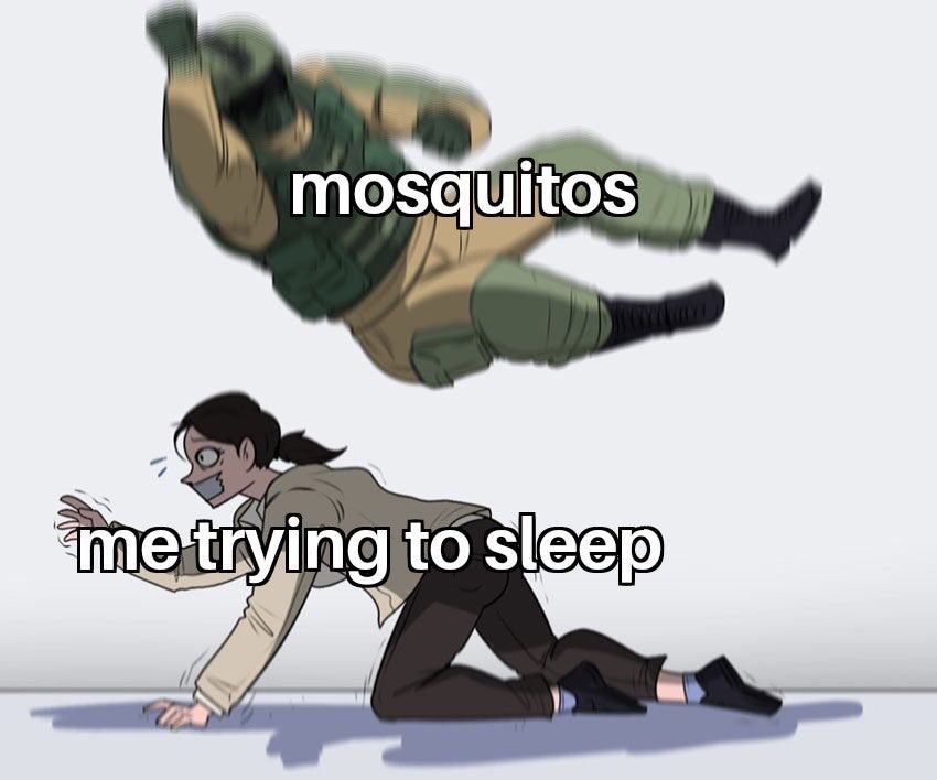 dank memes helmet stayed - mosquitos me trying to sleep