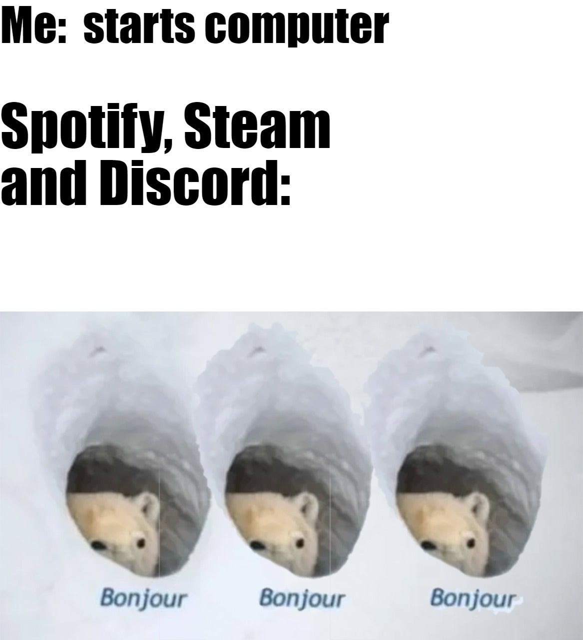dank memes polar bear - Me starts computer Spotify, Steam and Discord Bonjour Bonjour Bonjour