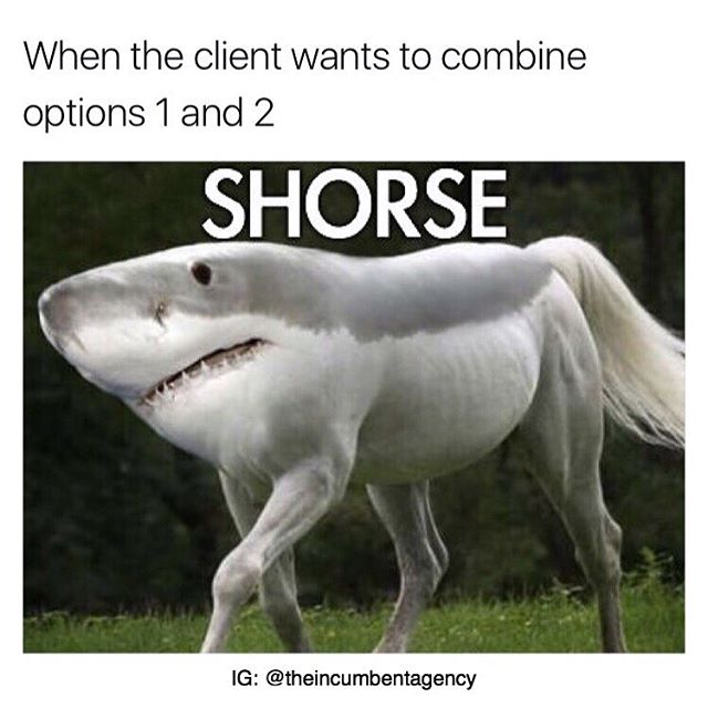 When the client wants to combine options 1 and 2 Shorse