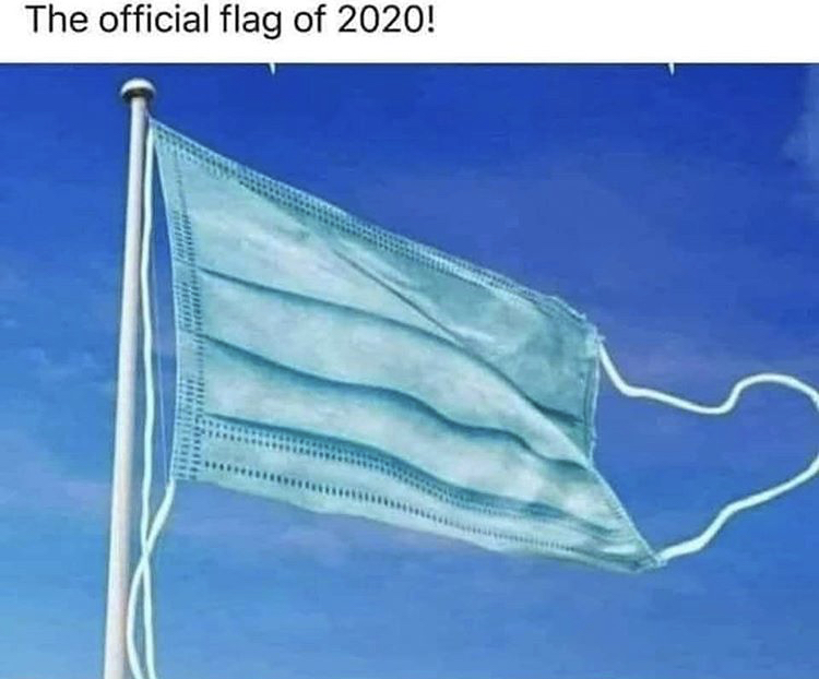 funny memes - one flag one world - The official flag of 2020!