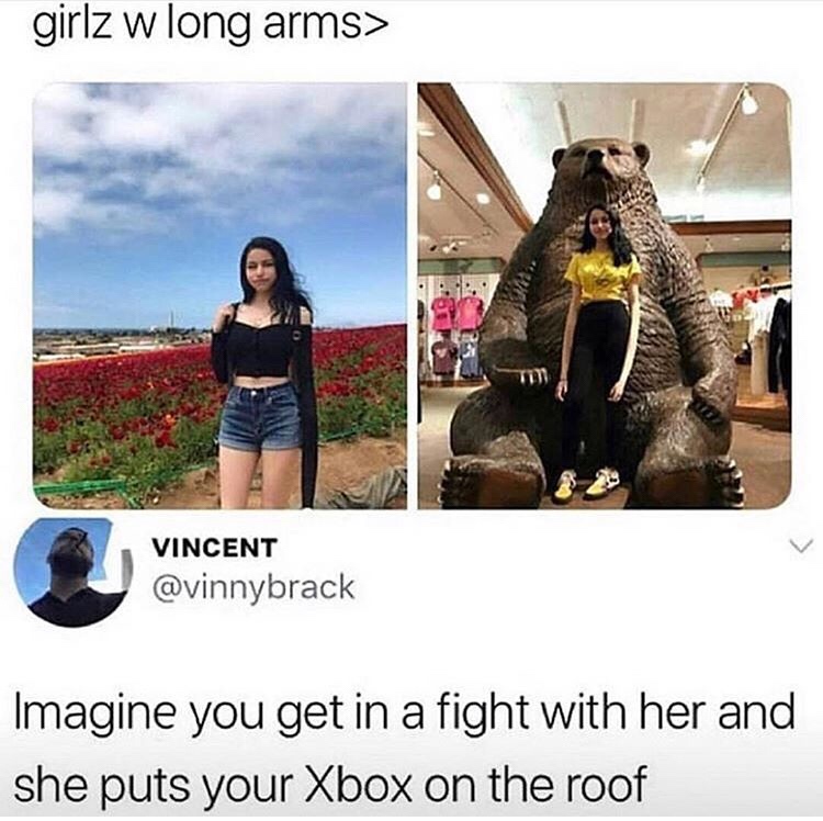 girls with long arms meme - girlz w long arms> L Vincent Imagine you get in a fight with her and she puts your Xbox on the roof