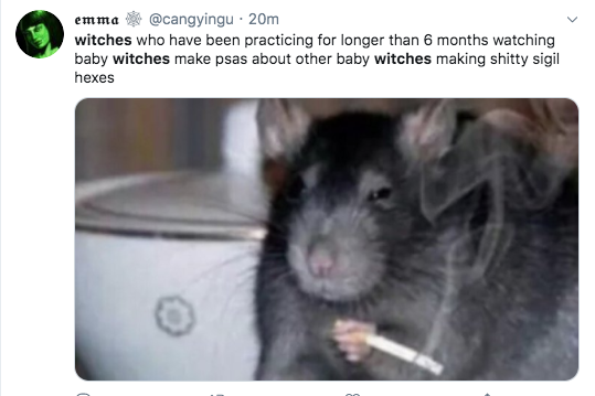 rat smoking cigarette - emma . 20m witches who have been practicing for longer than 6 months watching baby witches make psas about other baby witches making shitty sigil hexes