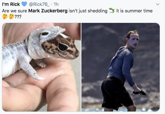 gecko wearing onesie - I'm Rick Are we sure Mark Zuckerberg isn't just shedding it is summer time ???