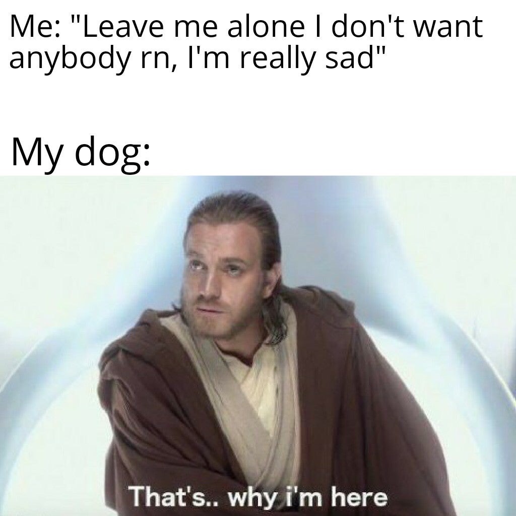 dank meme - coronavirus autism meme - Me "Leave me alone I don't want anybody rn, I'm really sad" My dog That's.. why i'm here