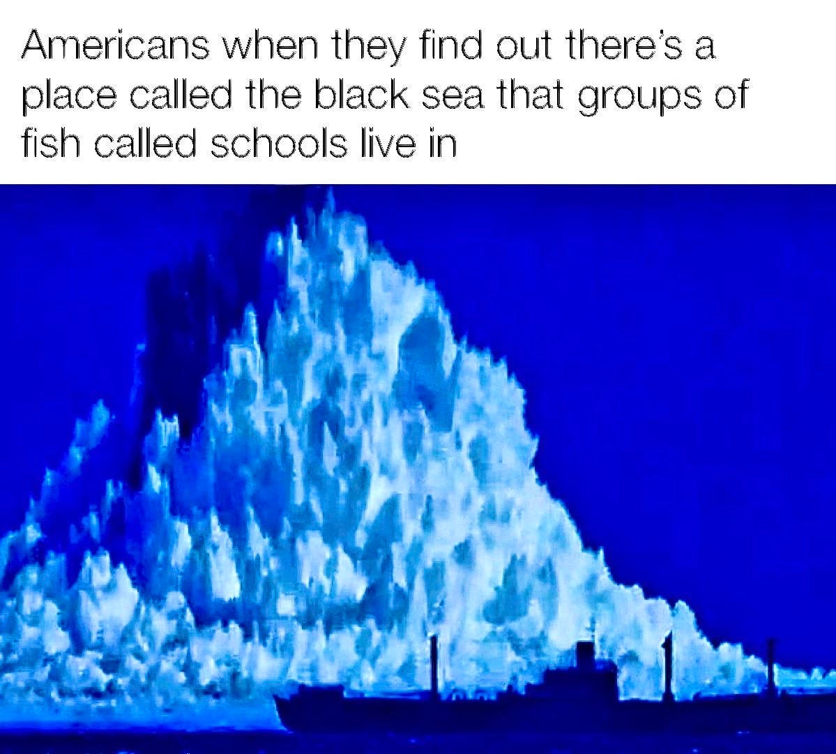 dank meme - lituya bay megatsunami - Americans when they find out there's a place called the black sea that groups of fish called schools live in