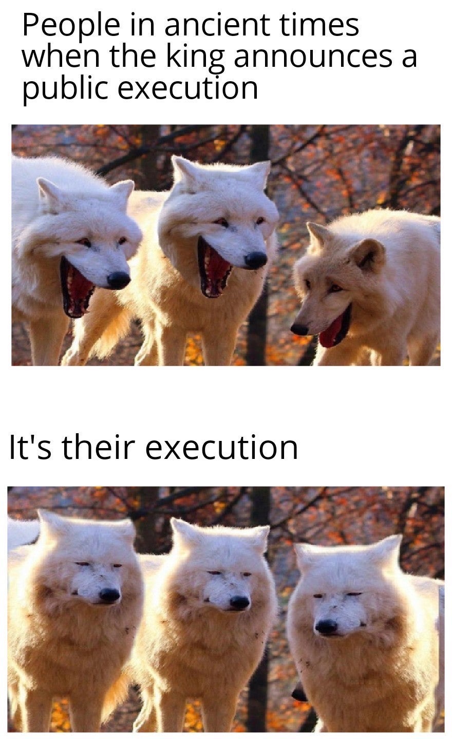 dank meme - fauna - People in ancient times when the king announces a public execution It's their execution