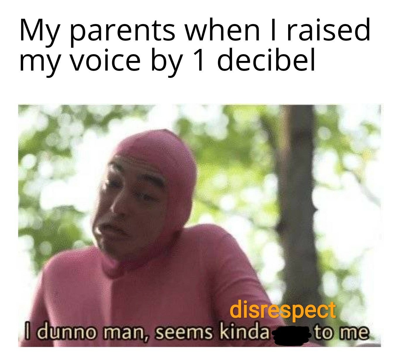 dank meme - dnd paladin memes - My parents when I raised my voice by 1 decibe co disrespect I dunno man, seems kinda to me