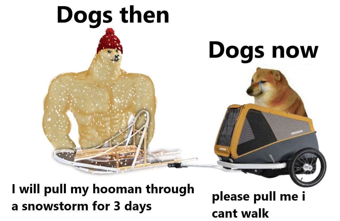 dank meme - chicken - Dogs then Dogs now I will pull my hooman through a snowstorm for 3 days please pull me i cant walk