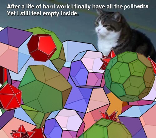 dank meme - life is meaningless meme - After a life of hard work I finally have all the polihedra Yet I still feel empty inside.