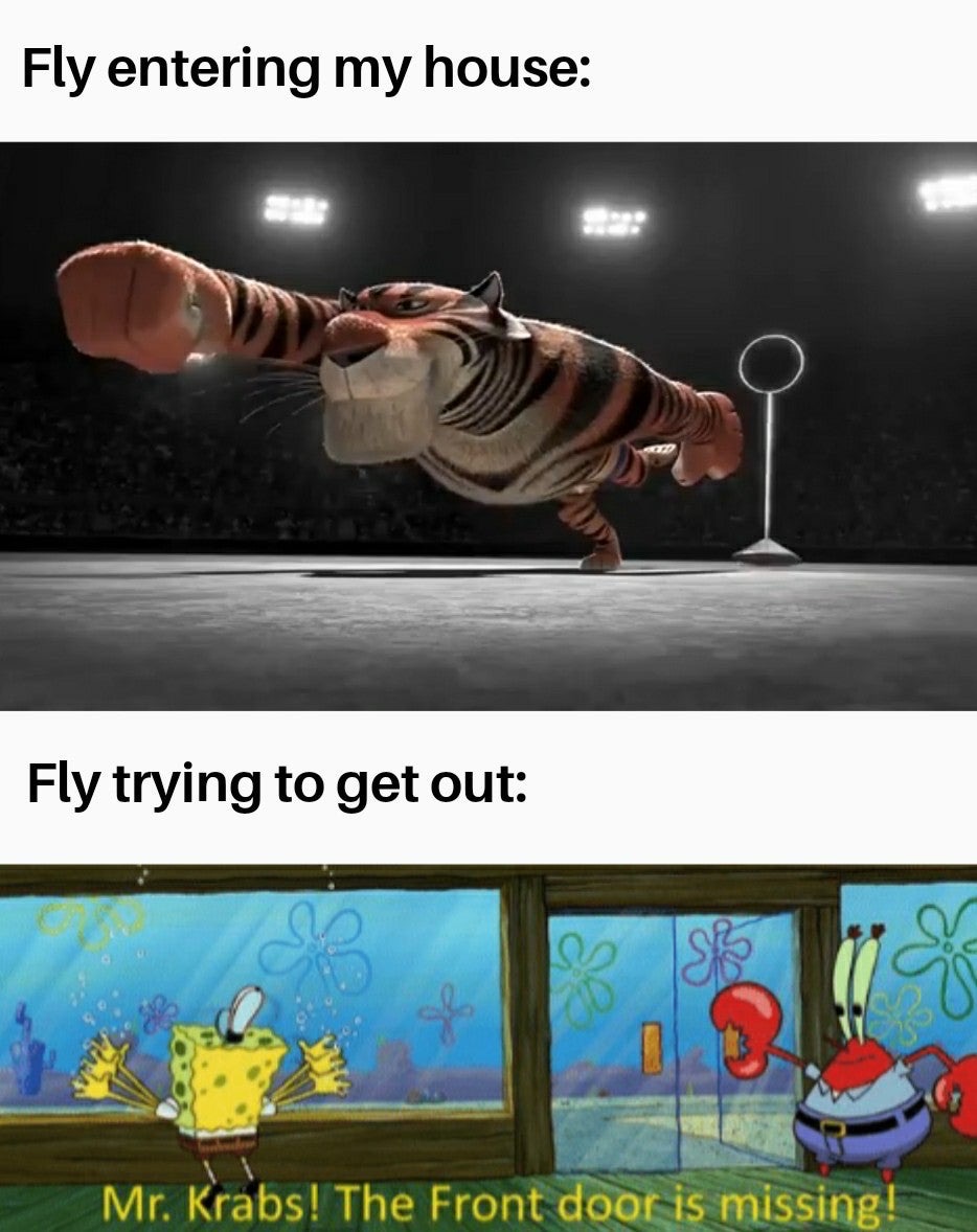 dank memes dank meme - funny relatable memes - Fly entering my house Fly trying to get out Mr. Krabs! The Front door is missing!