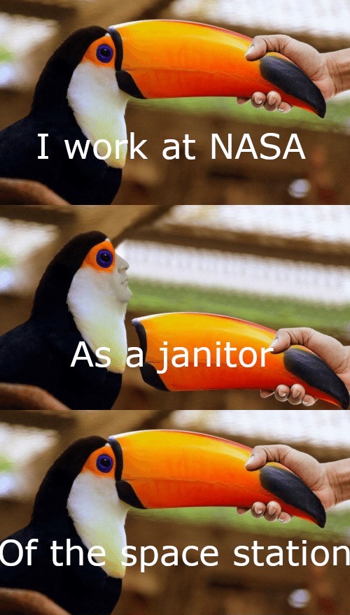 dank memes dank meme - baby toucan - I work at Nasa As la janitor Of the space station