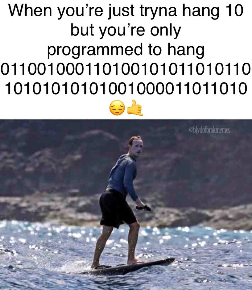 dank memes dank meme   - quotes - When you're just tryna hang 10 but you're only programmed to hang 011001000110100101011010110 10101010101001000011011010