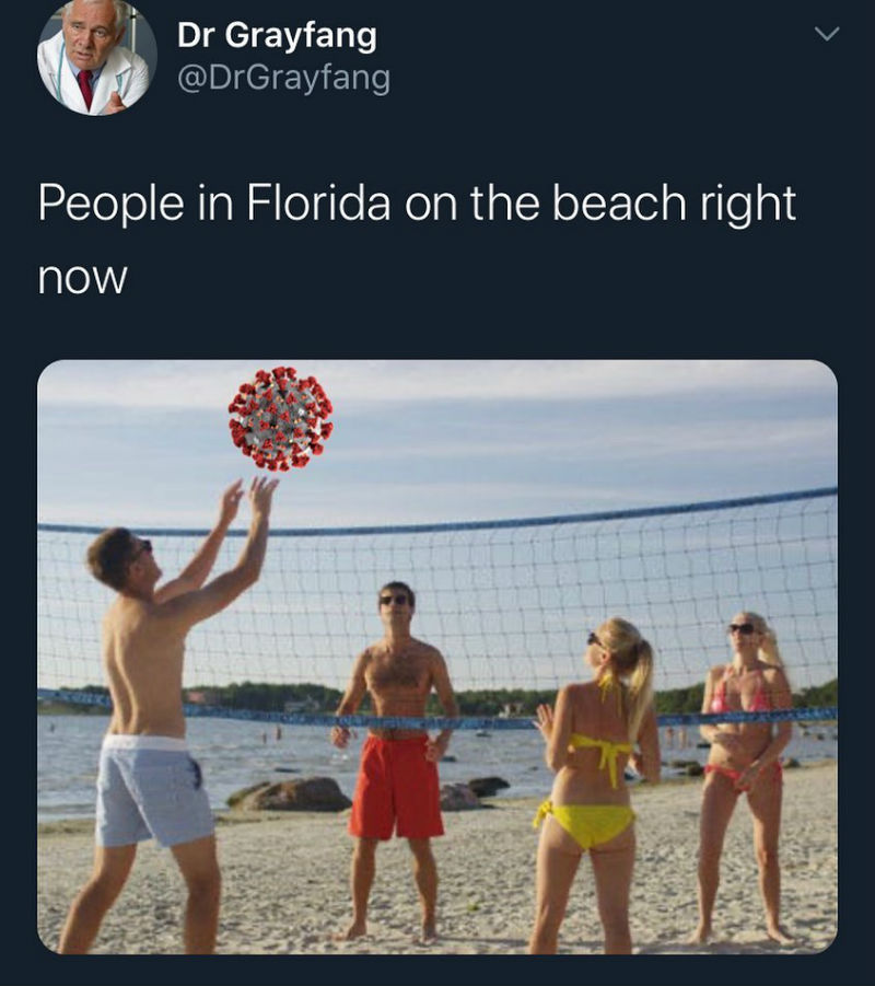protesting memes - Dr Grayfang People in Florida on the beach right now