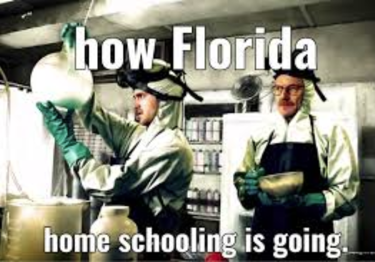 florida covid meme - how.Florida home schooling is going.