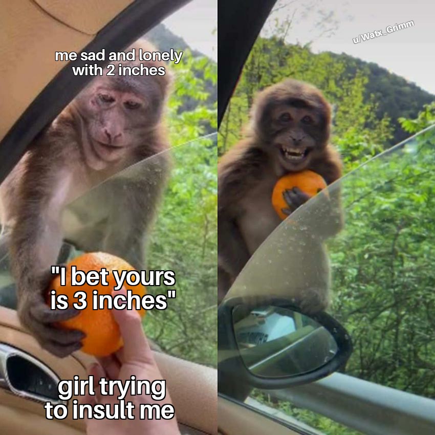 monkey receiving orange meme - uWatx_ Grimm me sad and lonely with 2 inches