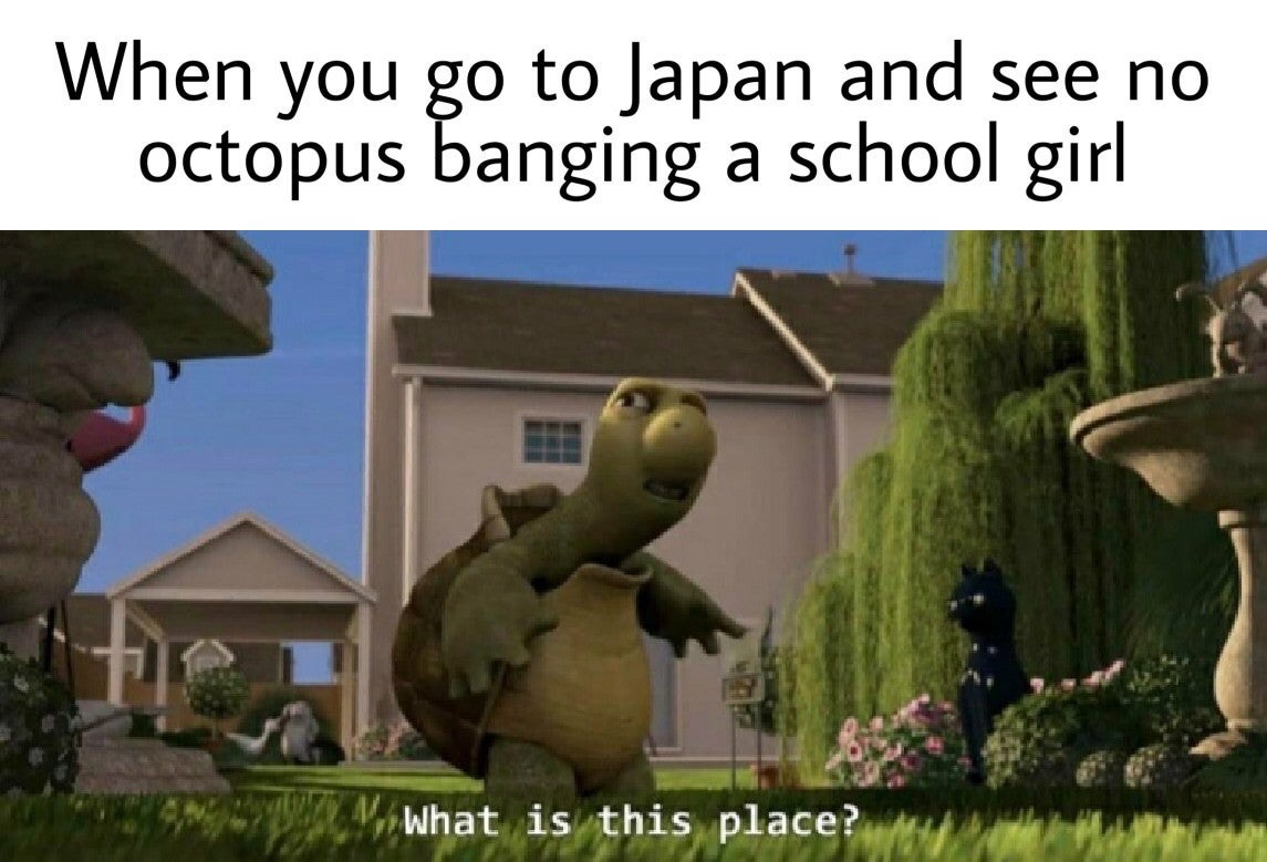 dank memes -  Internet meme - When you go to Japan and see no octopus banging a school girl V. What is this place?