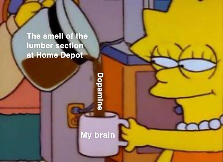 dank memes - lisa simpson sad music - The smell of the lumber section at Home Depot Dopamine My brain