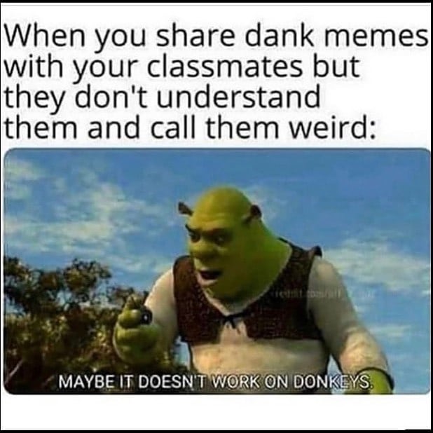 dank dank memes - When you dank memes with your classmates but they don't understand them and call them weird Maybe It Doesn'T Work On Donkeys.