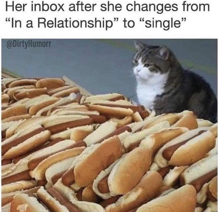 after a life of hard work i finally have all the hot dogs - Her inbox after she changes from "In a Relationship to single