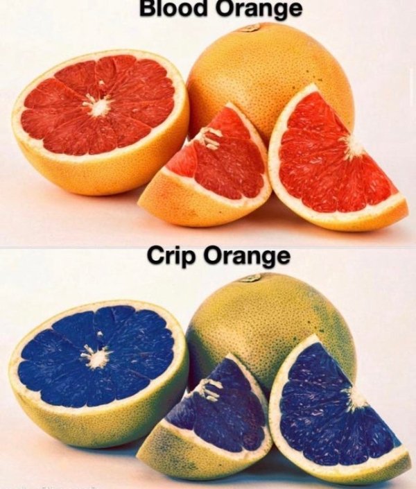 funny memes - Blood Orange Crip Orange