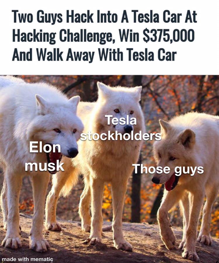 white wolves laughing meme - Two Guys Hack Into A Tesla Car At Hacking Challenge, Win $375,000 And Walk Away With Tesla Car Tesla stockholders Elon musk Those guys made with mematic
