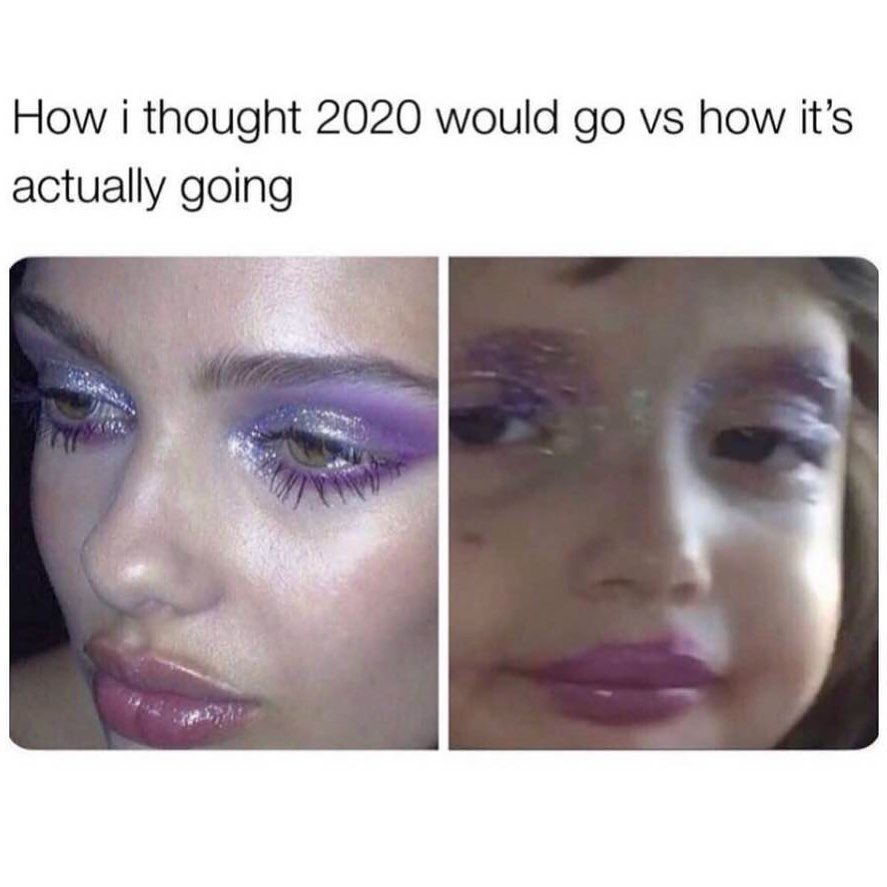 quarantine brows meme - How i thought 2020 would go vs how it's actually going