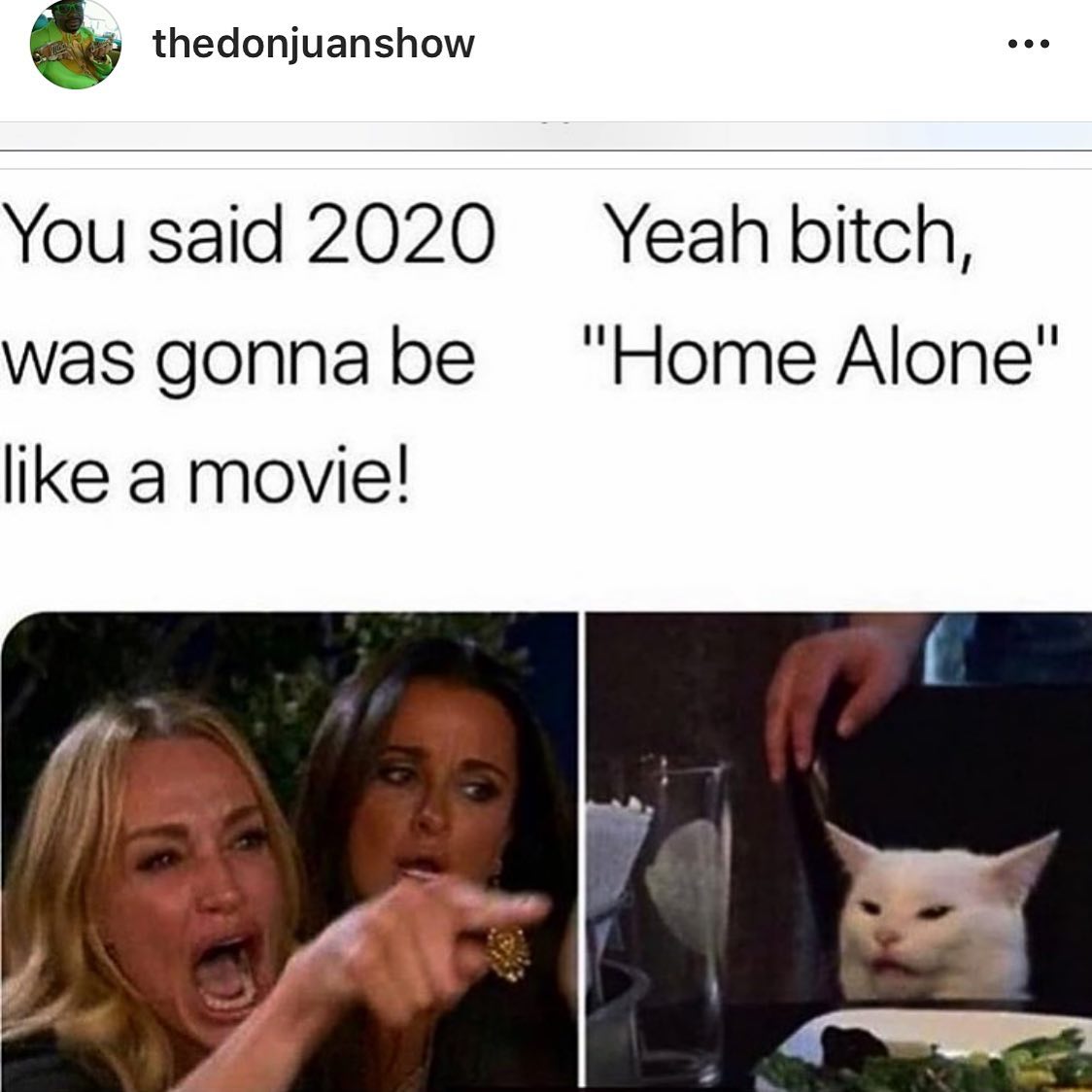 two women and cat meme - thedonjuanshow ... You said 2020 Yeah bitch, was gonna be
