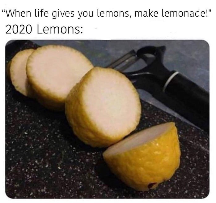 life gives you lemons meme - When life gives you lemons, make lemonade!