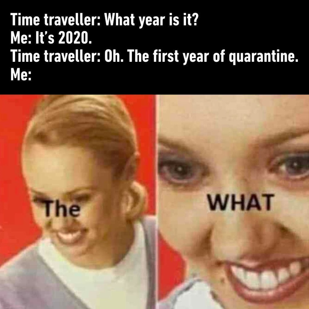 time traveler covid meme - Time traveller What year is it? Me It's 2020. Time traveller Oh. The first year of quarantine. Me The What