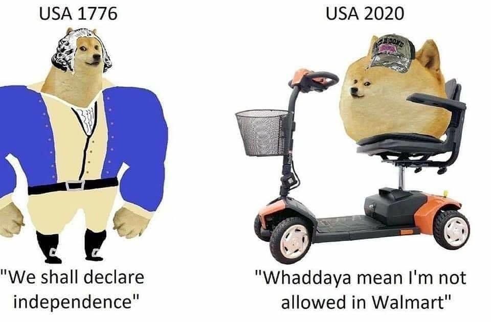 swole doge and cheems meme - Usa 1776 Usa 2020 Sardone