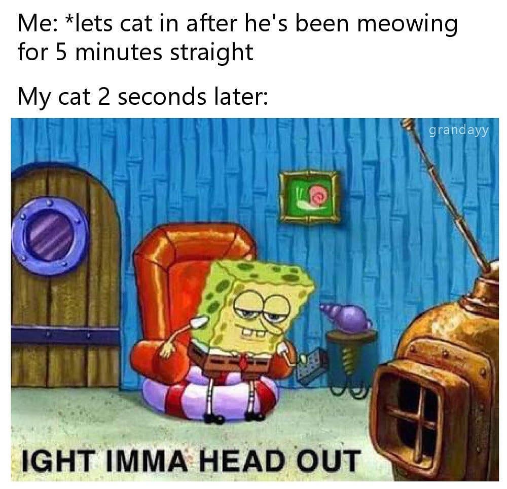 ight ima head out - ight imma head out memes - Me lets cat in after he's been meowing for 5 minutes straight My cat 2 seconds later grandayy Ight Imma Head Out