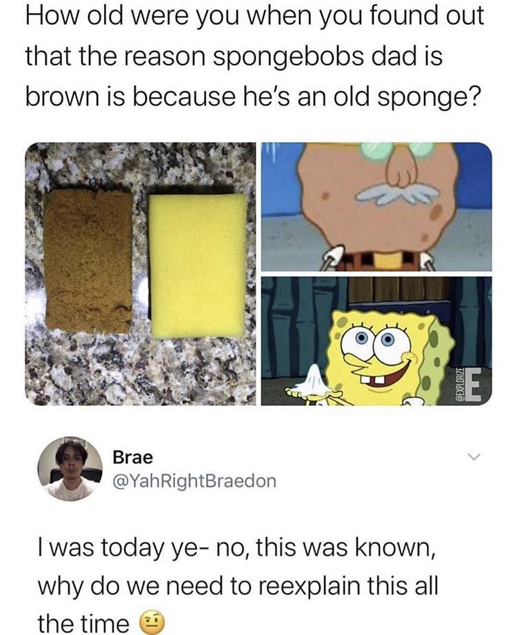 cartoon - How old were you when you found out that the reason spongebobs dad is brown is because he's an old sponge? E Brae I was today ye no, this was known, why do we need to reexplain this all the time