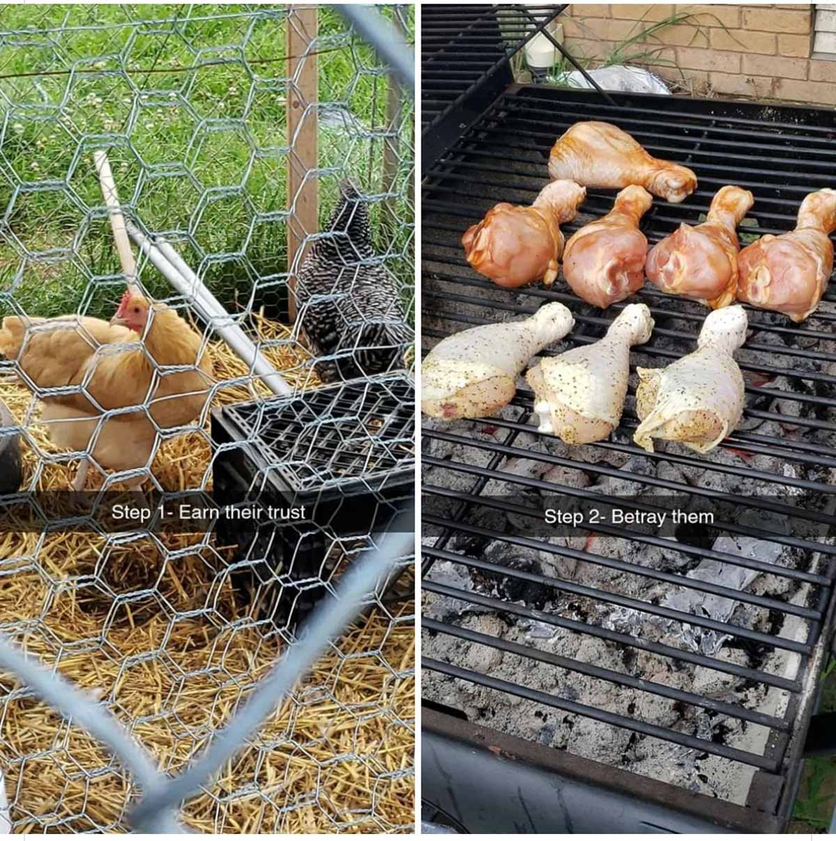 Funny farmer pic about gaining chickens trust and then betraying the trust to grill chicken