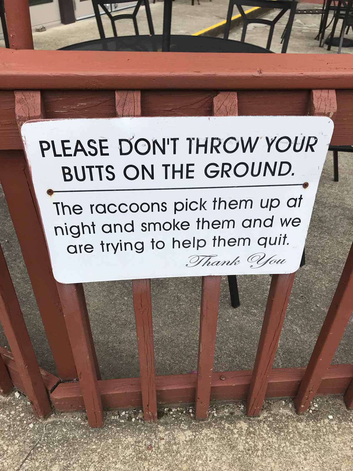 Funny anti-littering sign that says 'please don't throw your butts on the ground. The raccoons pick them up at night and smoke them and we are trying to help them quit. Thank you'