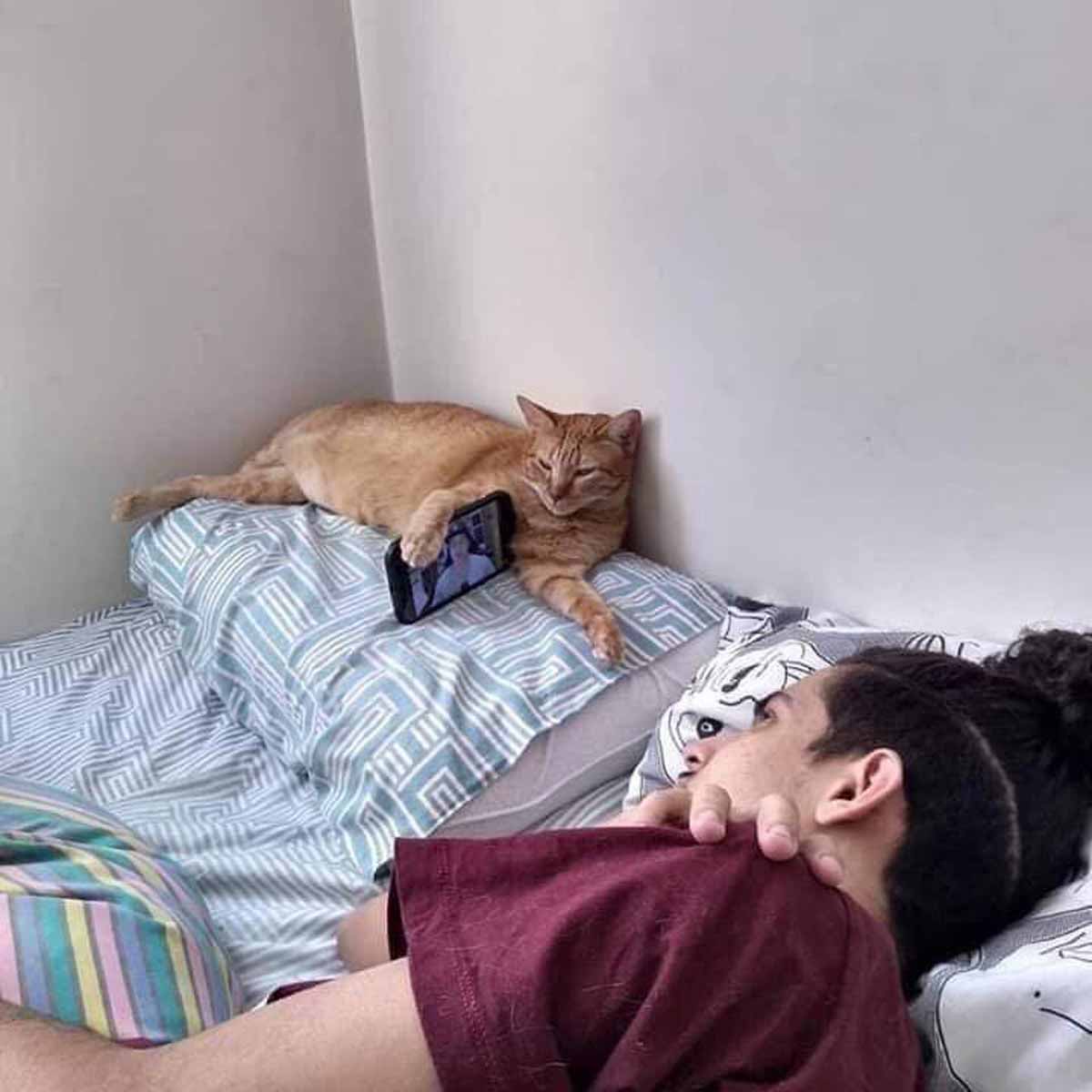 Funny picture of a guy laying on a bed watching his phone and his cat is laying with the phone keeping it up