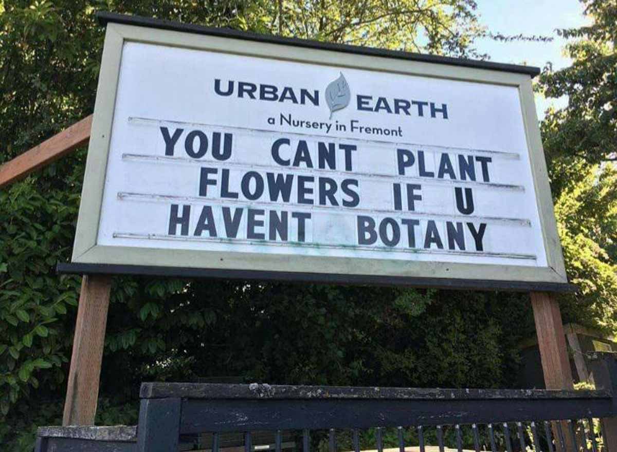 Funny sign from Urban Earth in Seattle that says 'you can't plant flowers if u haven't botany'