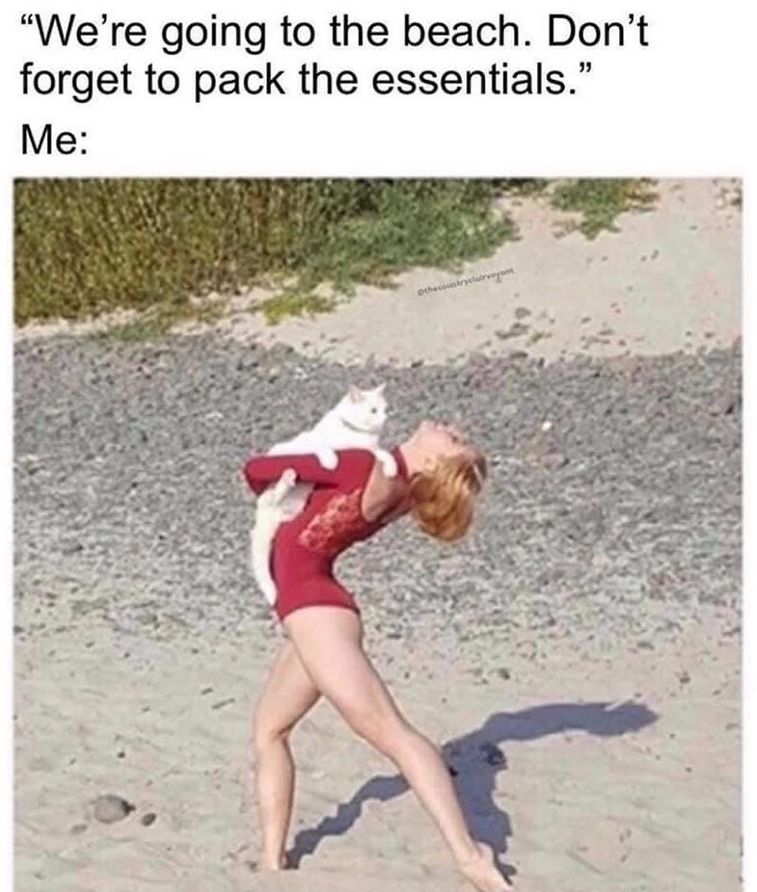 funny memes and random pics - people doing interesting things - We're going to the beach. Don't forget to pack the essentials. Me Viewundervogom