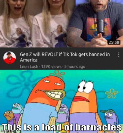 load of barnacles - Gen Z will Revolt if Tik Tok gets banned in America Leon Lush views 5 hours ago This is a load of barnacles imgflip.com