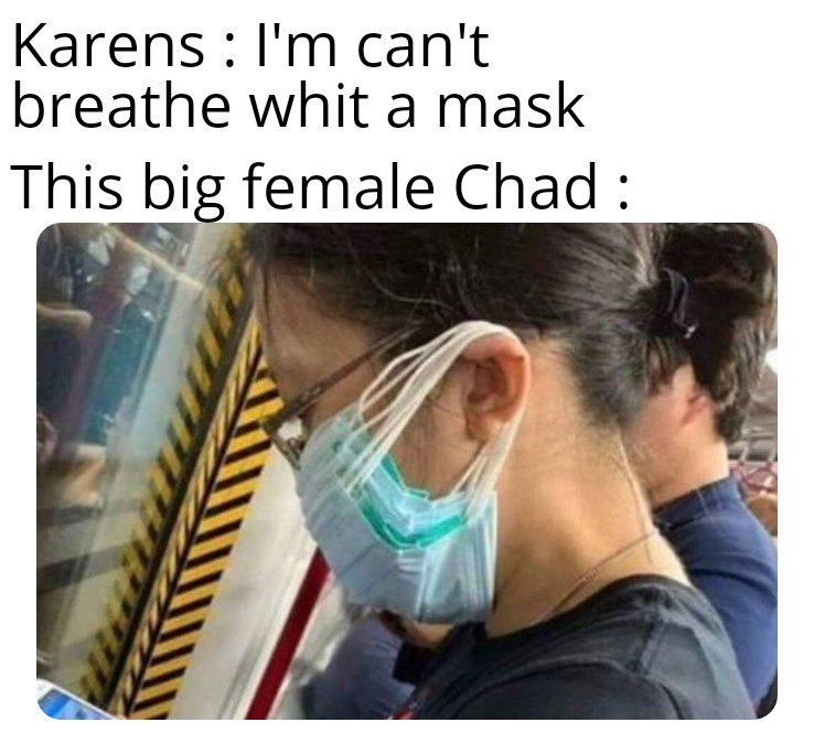 dank memes reddit - funny mask memes - Karens I'm can't breathe whit a mask This big female Chad