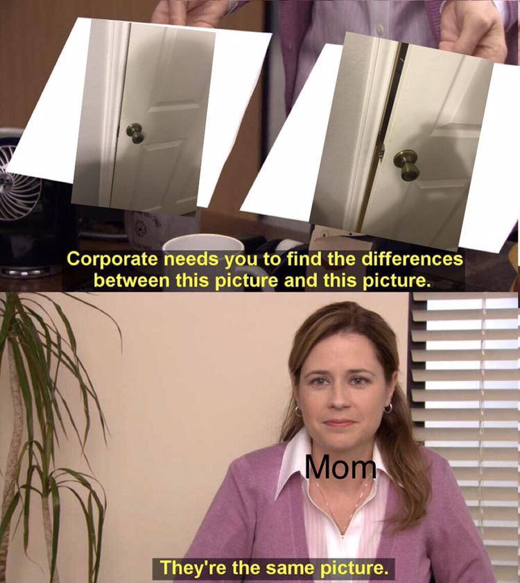dank memes reddit - anti tiktok memes - Corporate needs you to find the differences between this picture and this picture. Mom They're the same picture.