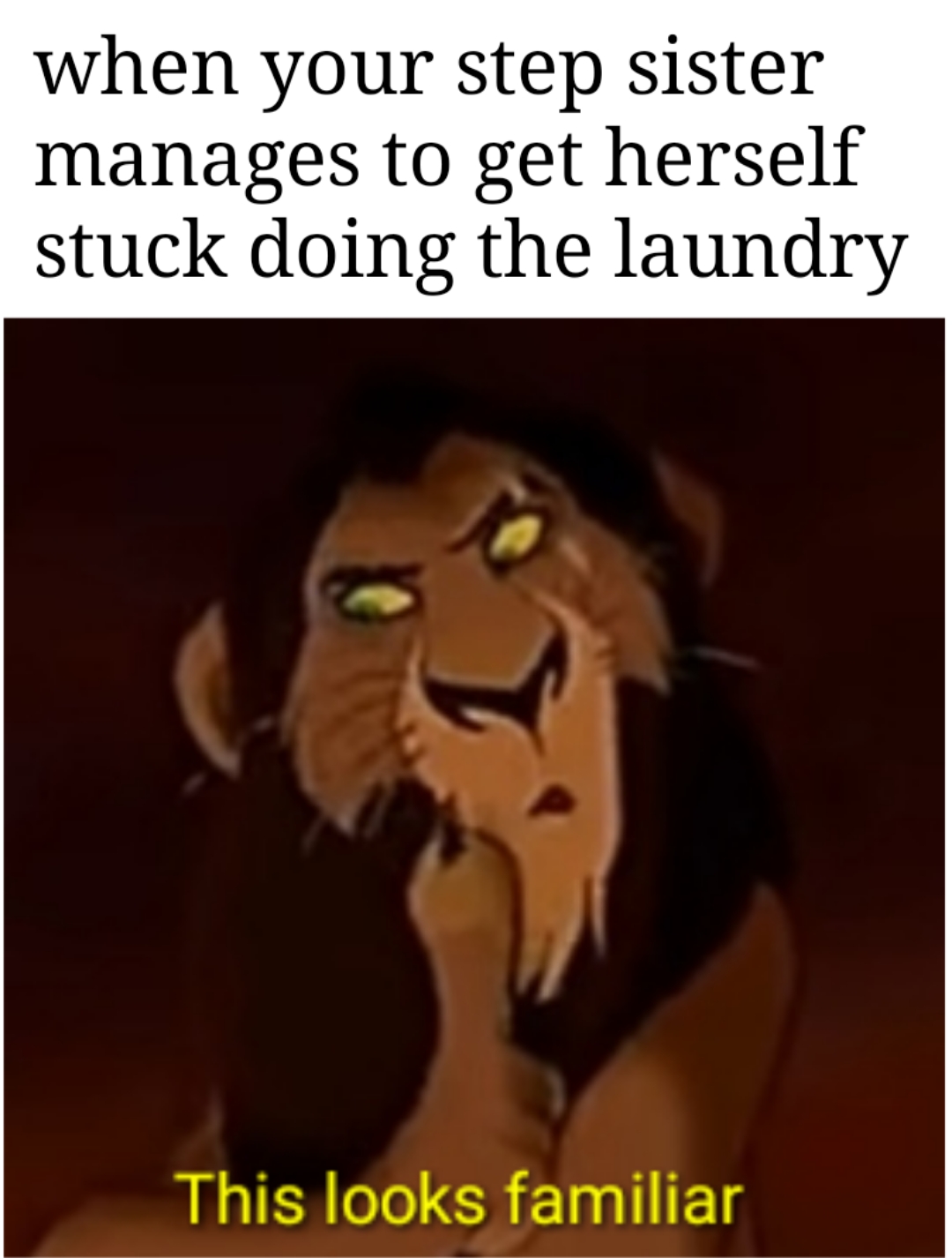 dank memes reddit - looks familiar meme - when your step sister manages to get herself stuck doing the laundry This looks familiar