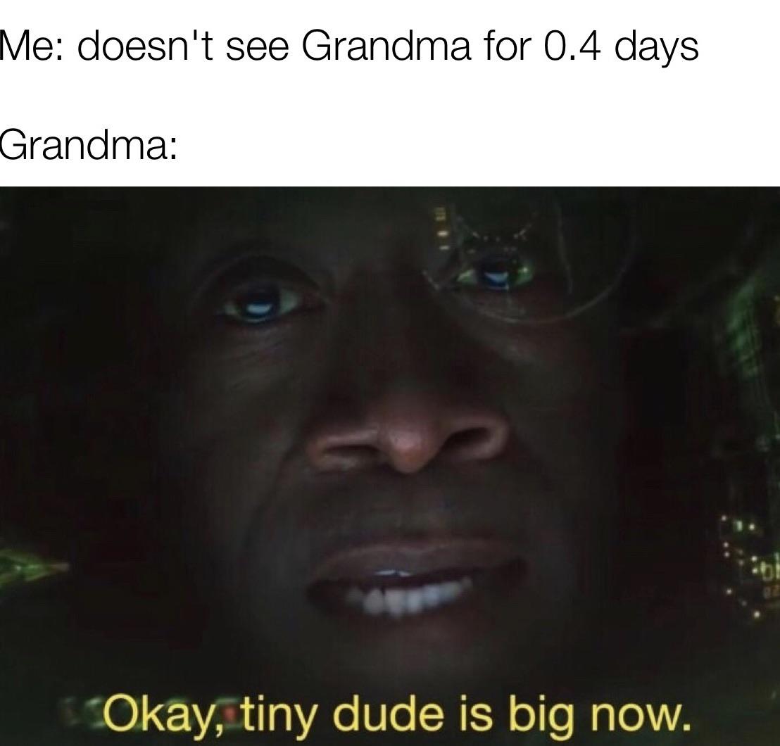 dank memes - memes boy v girls -  Me doesn't see Grandma for 0.4 days Grandma Okay, tiny dude is big now.