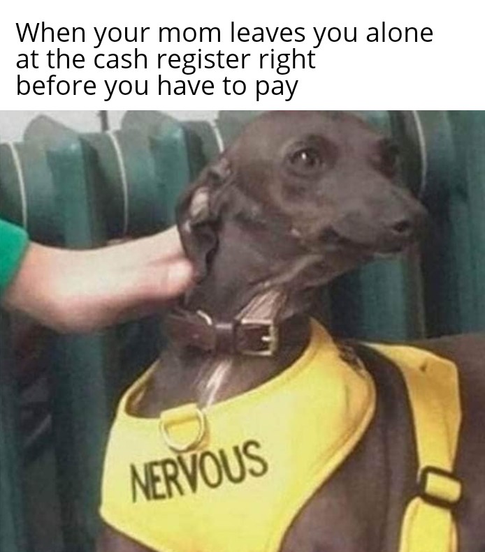 dank memes - nervous dog meme - When your mom leaves you alone at the cash register right before you have to pay Nervous