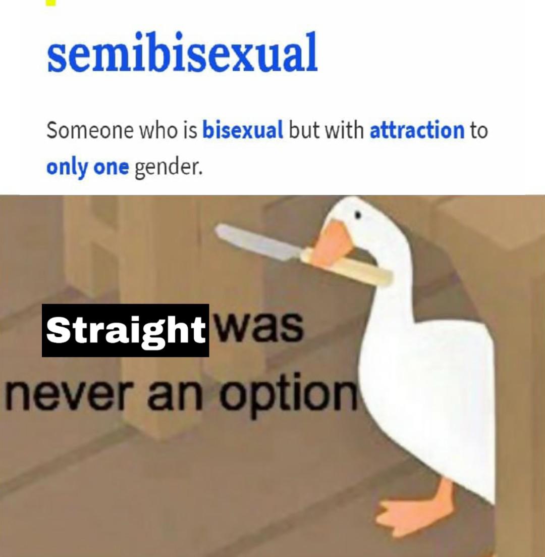 dank memes - duck - semibisexual Someone who is bisexual but with attraction to only one gender Straight was never an option