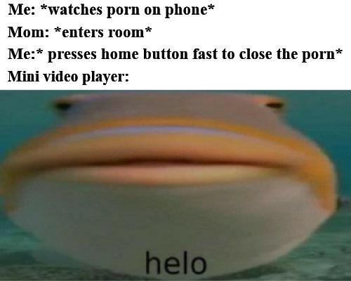 dank memes - helo meme - Me watches porn on phone Mom enters room Me presses home button fast to close the porn Mini video player helo